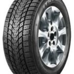 255/40R19 100H Tri-Ace Snow White II (Radžojama)