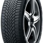195/60R15 88T Nexen WG SNOW G3 WH21