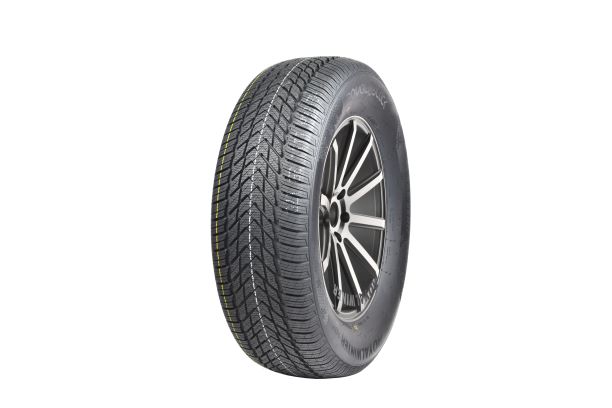 205/55R16 91H ROYALBLACK Royal Winter HP