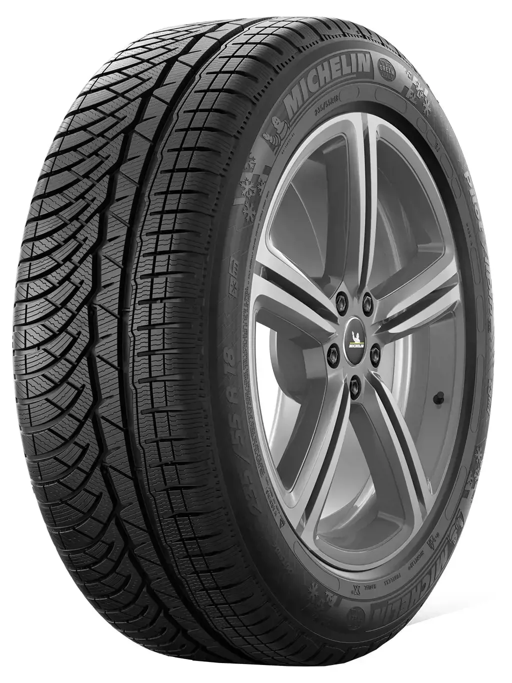 255/45R19 100V MICHELIN PILOT ALPIN PA4