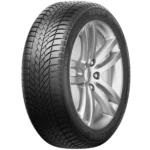205/55R16 91H PRINX Winter Excelia