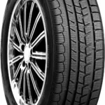 205/55R16 91T ROADSTONE Eurovis Alpine WH1