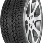 225/55R19 99V FORTUNA Winter SUV2