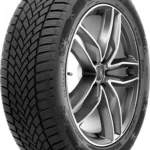 225/45R17 94V RADAR Dimax Winter
