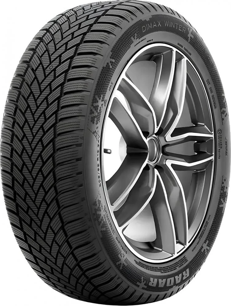 225/45R17 94V RADAR Dimax Winter